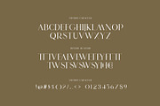 DESTRO Ligature Serif Font, a Serif Font by Humaira_std (Thumbnail 7 of 8)