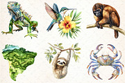 Rainforest Watercolor Vintage Nature, an Illustration by DreamCafeArt (Thumbnail 6 of 7)