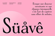 CS Chizue – Condensed Font, a Serif Font by Craft Supply Co. (Thumbnail 4 of 8)
