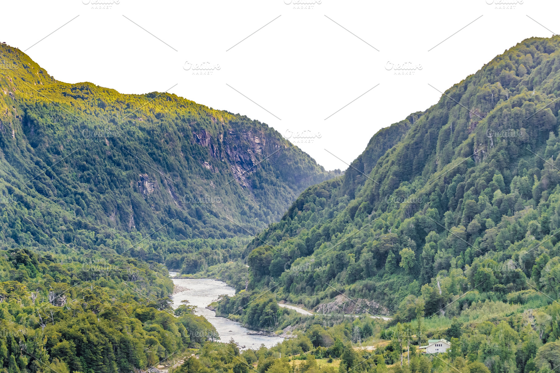 Patagonia forest hill isolated landscape, a Nature Photo by DanFLCreativo