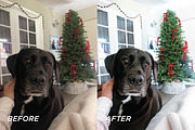 15 Christmas Lightroom Presets, a Preset Add-On by TheWayfarerShoppe (Thumbnail 9 of 9)