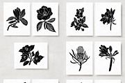 Flower Bundle, an Object Graphic by Mii Lab (Thumbnail 2 of 9)