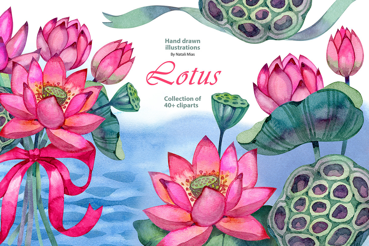 Lotus - Watercolor Clipart Set, an Illustration by NataliMiasStore (Photo 1 of 8)