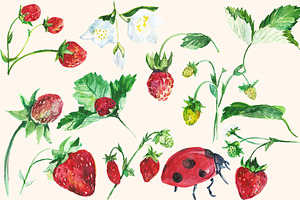 Watercolor Strawberry Clip Art