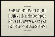 Deiloya | Classic Serif Typeface, a Serif Font by gracetype_studio (Thumbnail 10 of 12)