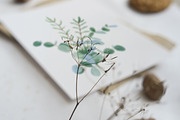 Watercolor Bundle Four Seasons., a Seasonal Illustration by NataliArkushArt (Thumbnail 23 of 65)