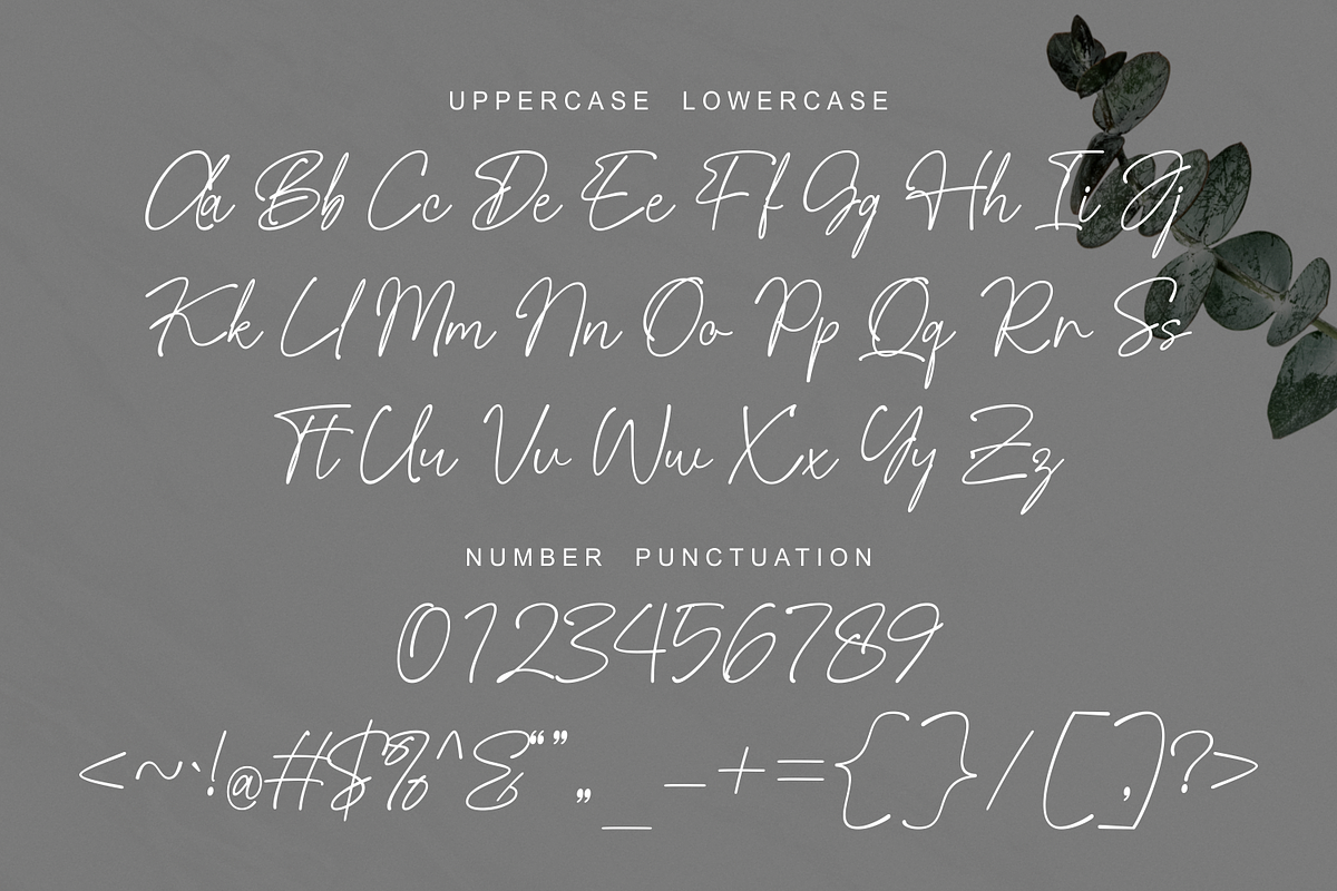 Bellagieta - Signature Font, a Script Font by Imiftype Studio (Photo 8 of 10)