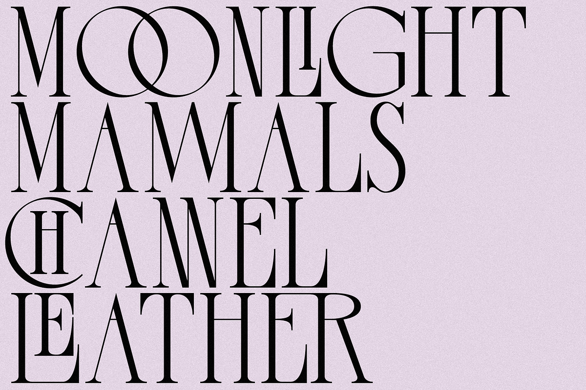 Melted Etoile - Chic Ligature Serif, a Serif Font by Mikhail Fukurou (Photo 5 of 8)