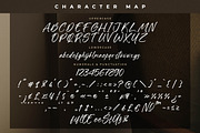 Gatmoley Modern Handwritten Font, a Script Font by Letterena Studios Script (Thumbnail 13 of 15)