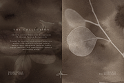 Nature Texture Backgrounds, a Background Graphic by Altea Design Studio (Thumbnail 4 of 20)