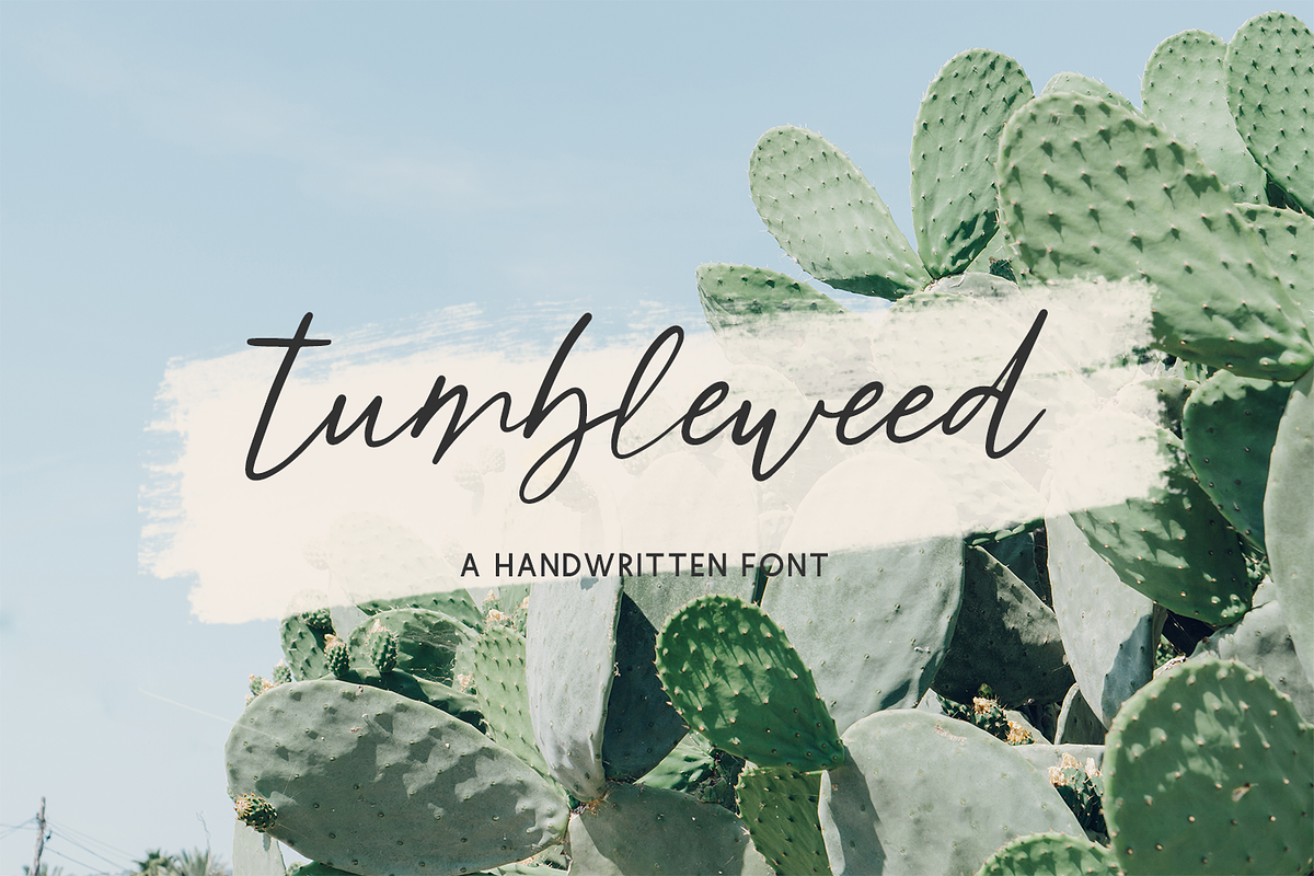 Tumbleweed Script, a Script Font by Beck McCormick (Photo 1 of 10)