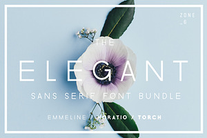 The Elegant Sans Serif Font Bundle