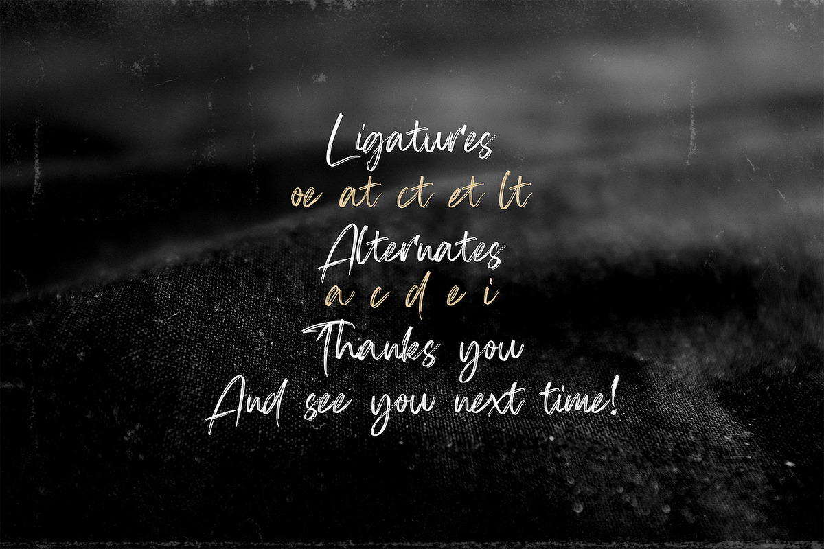 Firsta - Handwritten Font, a Script Font by StringLabs (Photo 6 of 9)