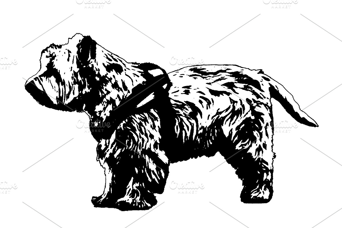 White terrier dog with harness isolated graphic, an Animal Illustration by DanFLCreativo