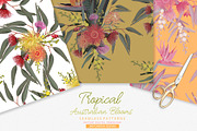 Tropical Australian Blooms, a Pattern Graphic by Sketchbook Designs (Thumbnail 3 of 9)