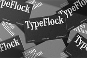 TF Mighu - Modern Slab Serif, a Serif Font by Type Flock (Thumbnail 8 of 15)