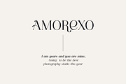 Consumer Type - elegant font family, a Serif Font by VP Fonts (Thumbnail 12 of 18)