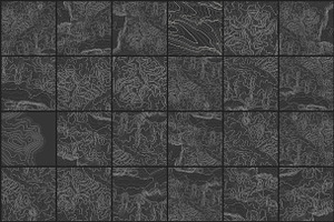 Topographic Maps Vector Bundle