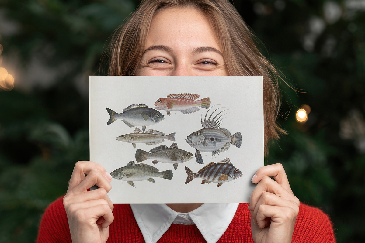 Kumataro Ito Japanese Aquatic Art, an Animal Illustration by Digital Museum (Photo 11 of 13)