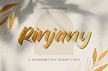 Rinjany - Textured Brush Font