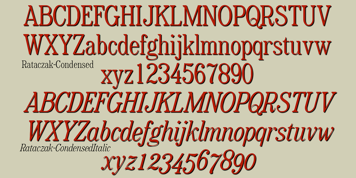 Rataczak, a Serif Font by Ingrimayne Type (Photo 7 of 10)