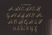 Teofandin Levantamy | Wedding Script, a Script Font by Denustudios (Thumbnail 10 of 14)