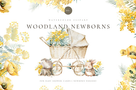 Watercolor newborn woodland animals