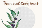 Olive Watercolor Clipart PNG, a Decorative Illustration by PatternPalette (Thumbnail 6 of 8)