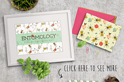 Entomology, a Pattern Graphic by Julia Shvets (Thumbnail 3 of 4)