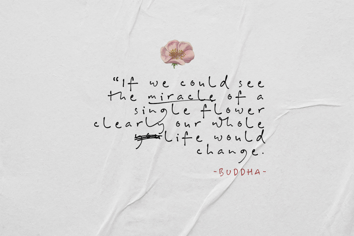 Bill Hiffith | An Organic Script, a Script Font by Colllab Studio (Photo 3 of 18)