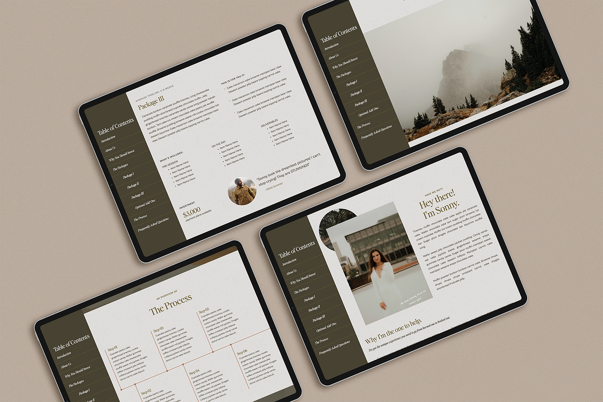 Sonny Showit Investment Guide, a Websites & App Template by Amanda Scott Design Co. (Photo 5 of 5)