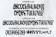 Milkshake, a Script Font by FreshTypeINK (Thumbnail 7 of 8)