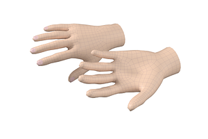 Female Hand Base Mesh 03