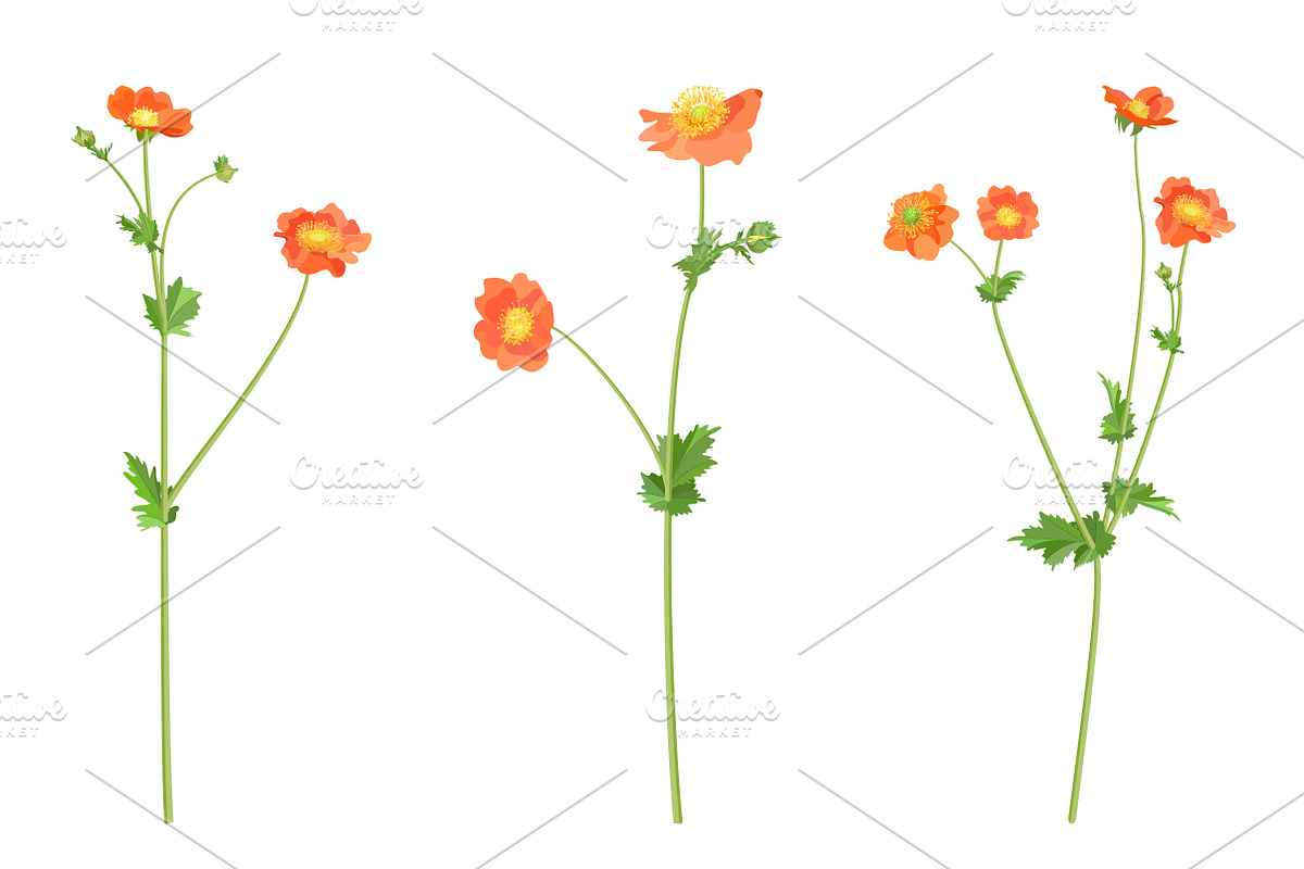 Vector object brushes. Geum. preview 8