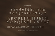 Salmon Elegant Serif Font, a Serif Font by Perfectype (Thumbnail 7 of 8)