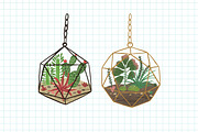 Florarium composition banner, a Decorative Illustration by Good Studio (Thumbnail 2 of 3)