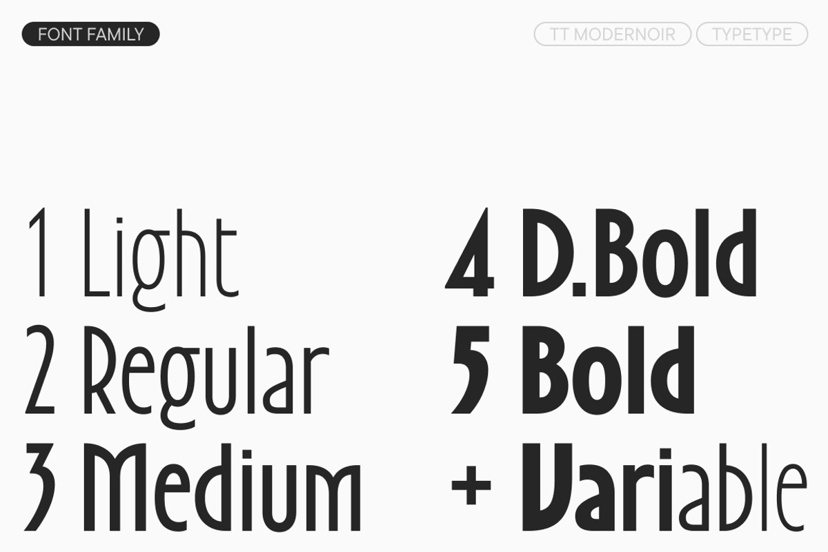 TT Modernoir, a Sans Serif Font by TypeType (Photo 4 of 15)