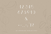 Wild Rye Hand Lettered Display Font, a Serif Font by Laras Wonderland (Thumbnail 13 of 15)