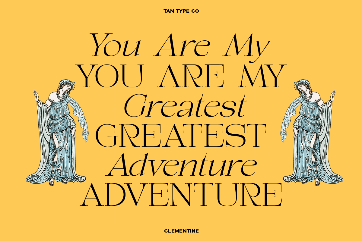 TAN - CLEMENTINE, a Serif Font by TanType (Photo 4 of 20)