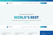 Etrota - SEO WordPress Theme, a WordPress Template by raintheme (Thumbnail 1 of 4)