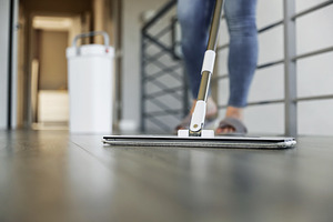 Woman mopping, wiping floor in modern home setting, a Person Photo by Lenor4ik