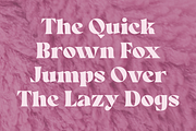 Clyra - Elegant Serif Typeface, a Serif Font by MaikoHatta (Thumbnail 7 of 8)