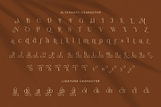 Bulgina Elegant Serif Display Font, a Serif Font by Graphicxell (Thumbnail 8 of 8)