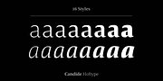 Candide, a Serif Font by Hoftype (Thumbnail 5 of 16)