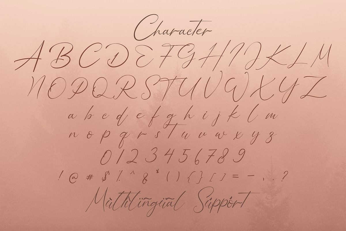 Bellamy Signature - Handwritten Font, a Script Font by StringLabs (Photo 12 of 13)