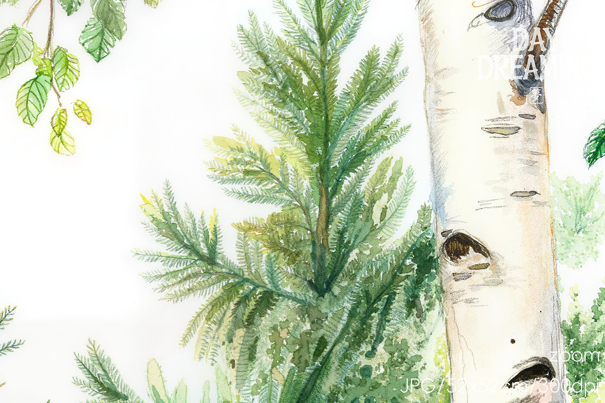 Fresh Birch Forest, an Object Illustration by yahu88studio (Photo 3 of 3)