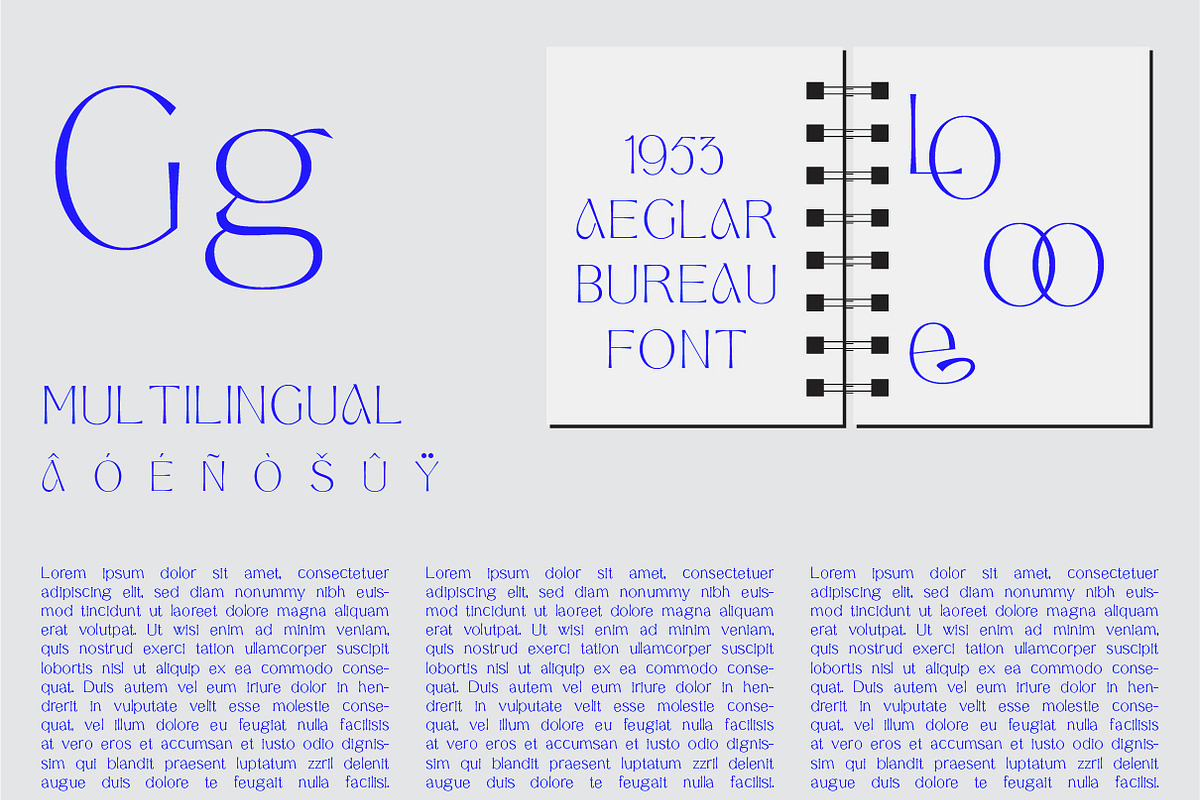 Aeglar Display, a Serif Font by Portion.Labs (Photo 5 of 12)