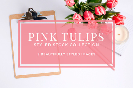 Pink Tulips Styled Stock