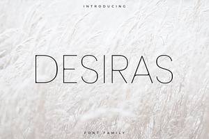 Desiras Font Family - Sans Serif