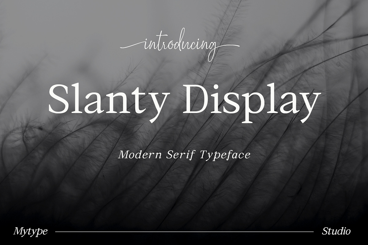 Serif & Sans Serif Font Bundle, a Sans Serif Font by Mytype Studio (Photo 3 of 22)